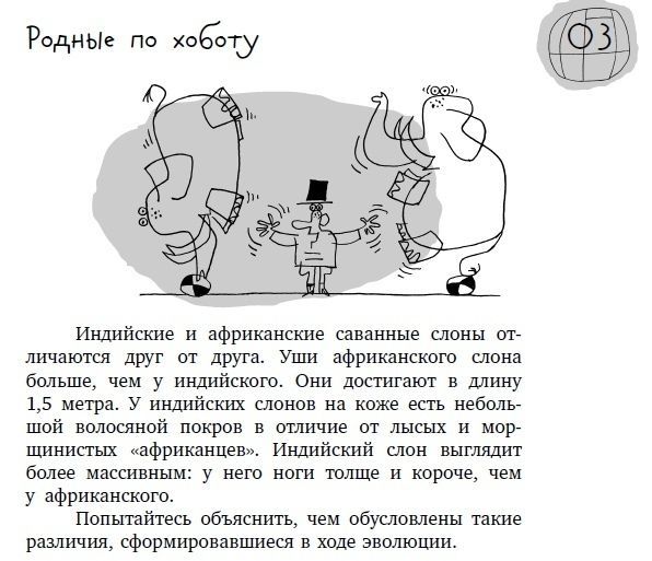 Тюменка Анна Кутузова написала книгу занимательных задач по географии