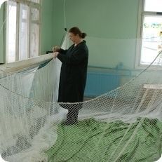 Топ-10 тюменских брендов