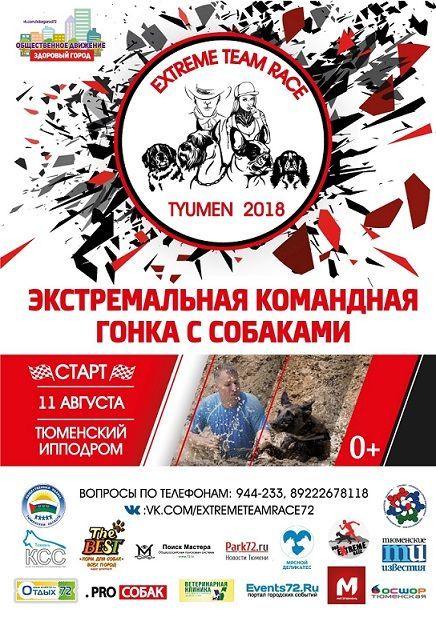 Афиша на уик-энд: гонки с собаками, экодень и гаражная распродажа