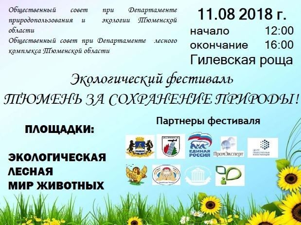 Афиша на уик-энд: гонки с собаками, экодень и гаражная распродажа