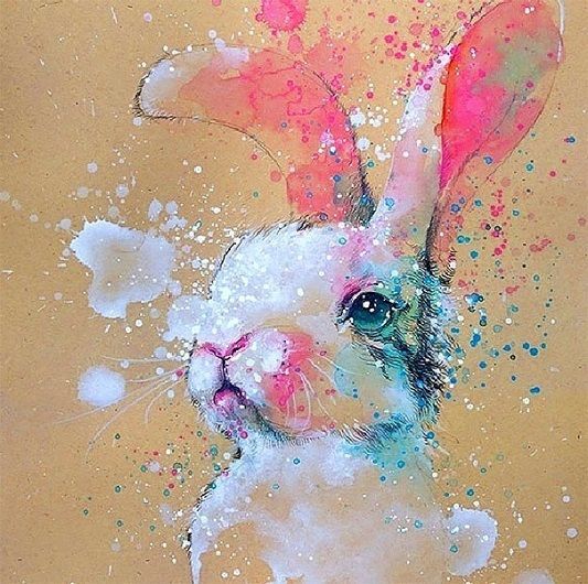 Афиша на уик-энд: велокино, танцевальная прогулка и АрМИ-2019