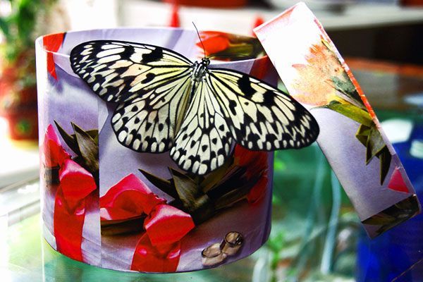 День Валентина в Тюмени: что подарить и куда сходить