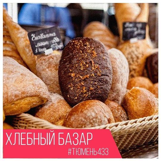 Афиша на День города: парад двойников, чирлидинг, кино и салют