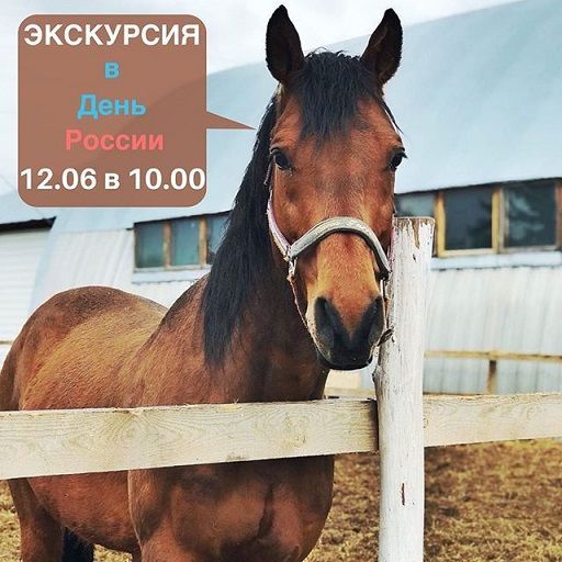 Афиша на День России: велопарад, этнофестиваль и «Мост дружбы»