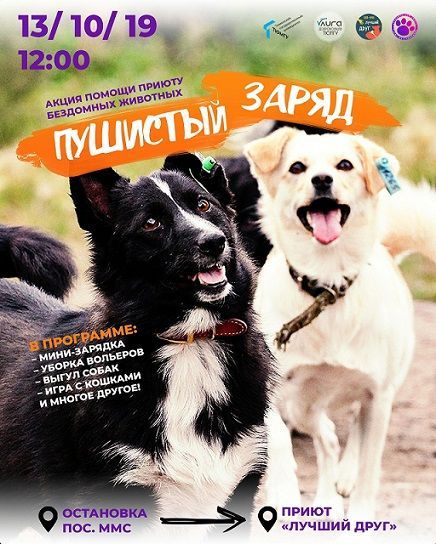 Афиша на уик-энд: катаемся на коньках, едим капусту и рисуем китов