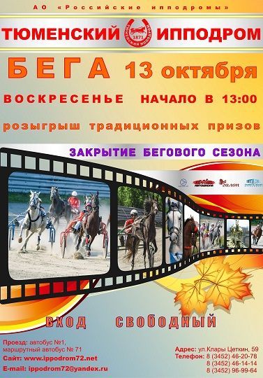 Афиша на уик-энд: катаемся на коньках, едим капусту и рисуем китов