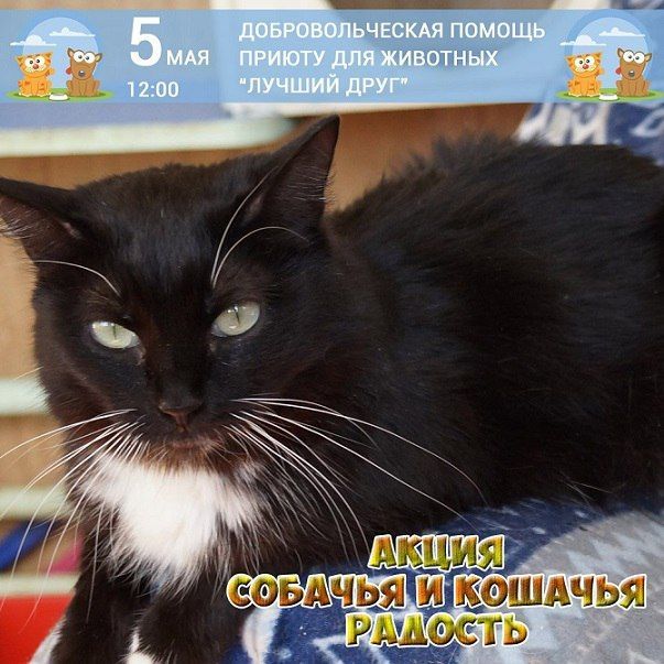 Афиша на уик-энд: праздник хиппи, «Театр изнутри» и всешкольная вечеринка