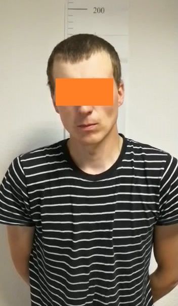 Задержаны двое подозреваемых в поджогах в Перевалово