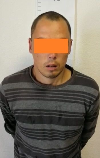 Задержаны двое подозреваемых в поджогах в Перевалово