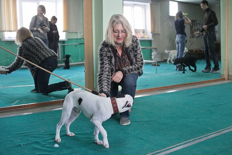 Профессия: «зоопсихолог»