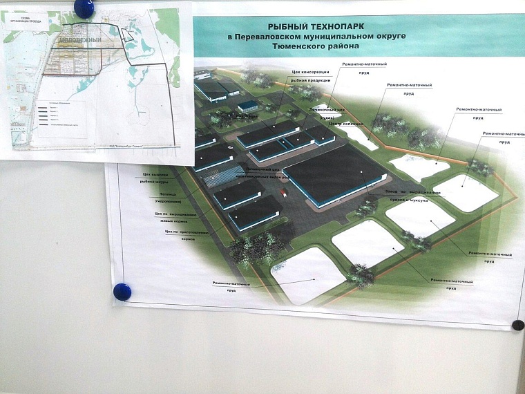 Тюмень обеспечат свежей рыбой