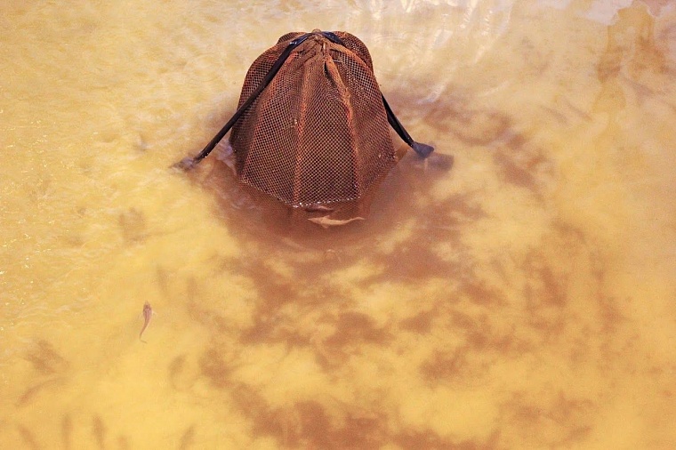 Рыбу «Пышма-96» будет продавать с колес