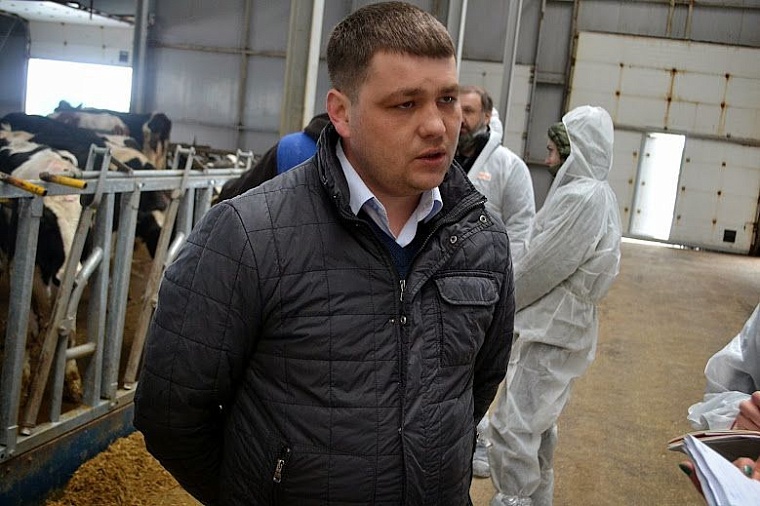 Нижнетавдинское молоко: от коровы до прилавка