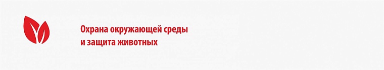 Президентские гранты-2: кто и сколько получил в Тюменской области