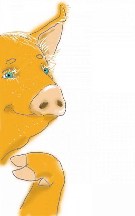 Гороскоп на 2019 год: Свинья зажигает фитиль!