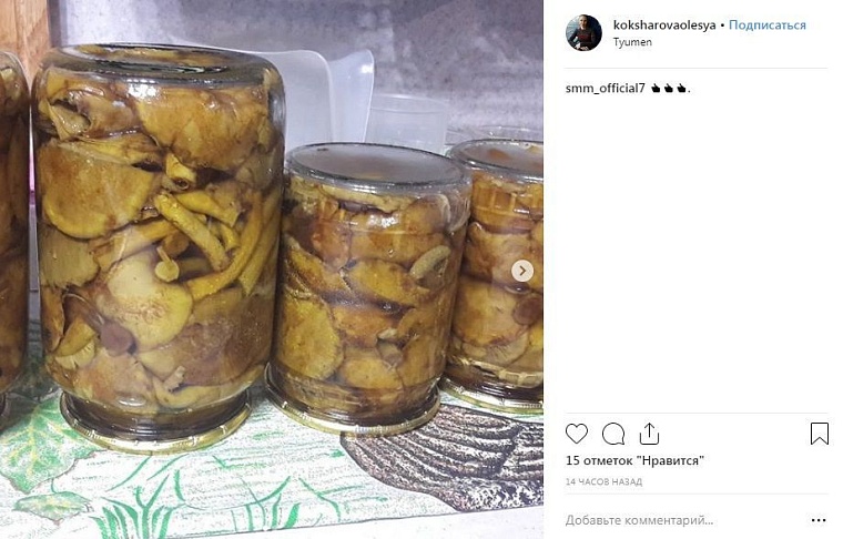 Выходные в соцсетях: дамы на велосипедах и грибные места близ Тюмени