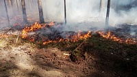 Попали в самое пекло: тюменские десантники-пожарные вернулись из Красноярского края