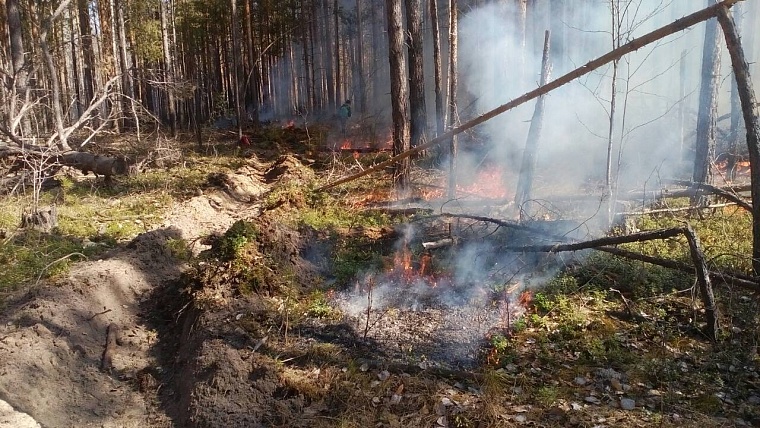 Попали в самое пекло: тюменские десантники-пожарные вернулись из Красноярского края