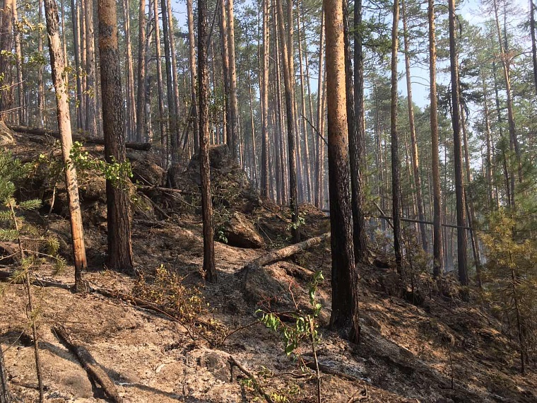 Попали в самое пекло: тюменские десантники-пожарные вернулись из Красноярского края
