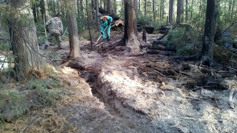 Попали в самое пекло: тюменские десантники-пожарные вернулись из Красноярского края