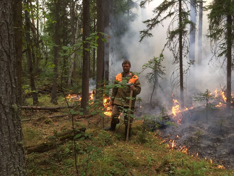 Попали в самое пекло: тюменские десантники-пожарные вернулись из Красноярского края