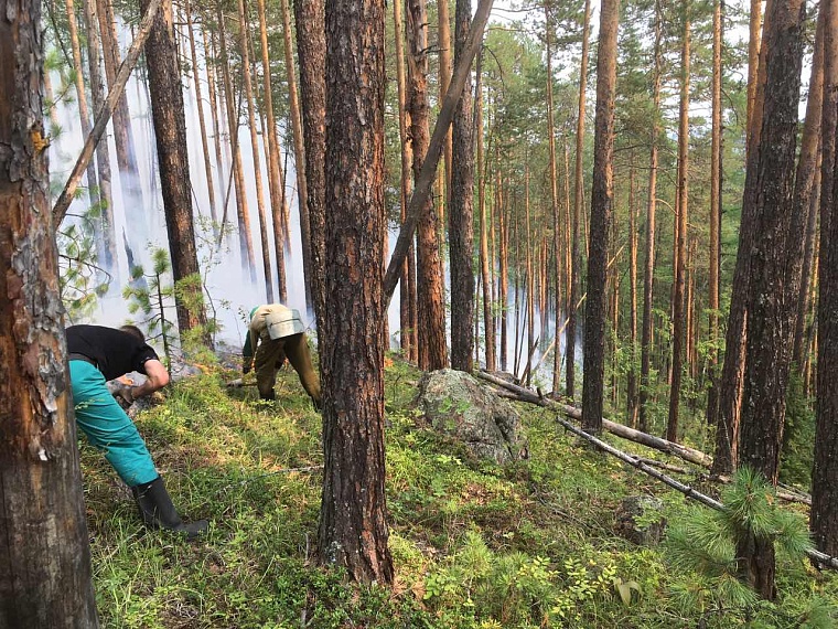 Попали в самое пекло: тюменские десантники-пожарные вернулись из Красноярского края