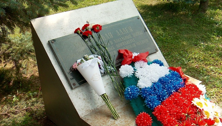 Помним тебя, сынок?