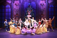 Афиша на уик-энд: «Снежное шоу», классический балет и рок в защиту животных