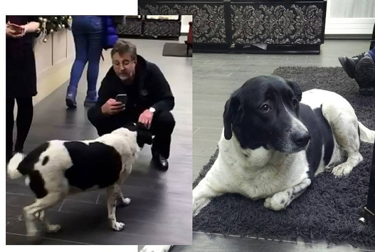 Как живет тюменская собака Ярмольника