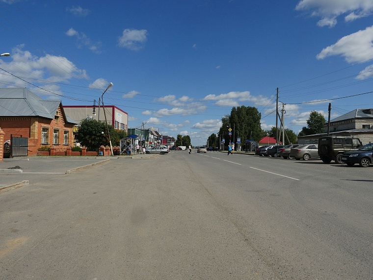 Испытано на себе: как мы кедровые шишки собирали