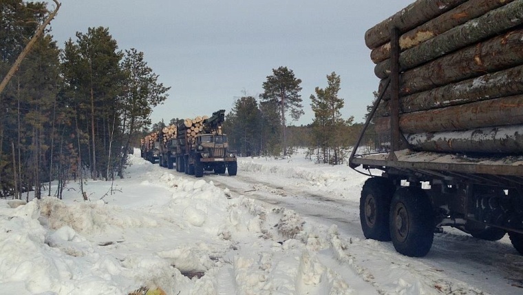 От чего защитит «зеленый щит»?