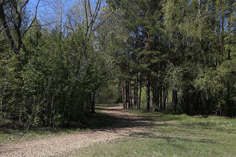 От чего защитит «зеленый щит»?