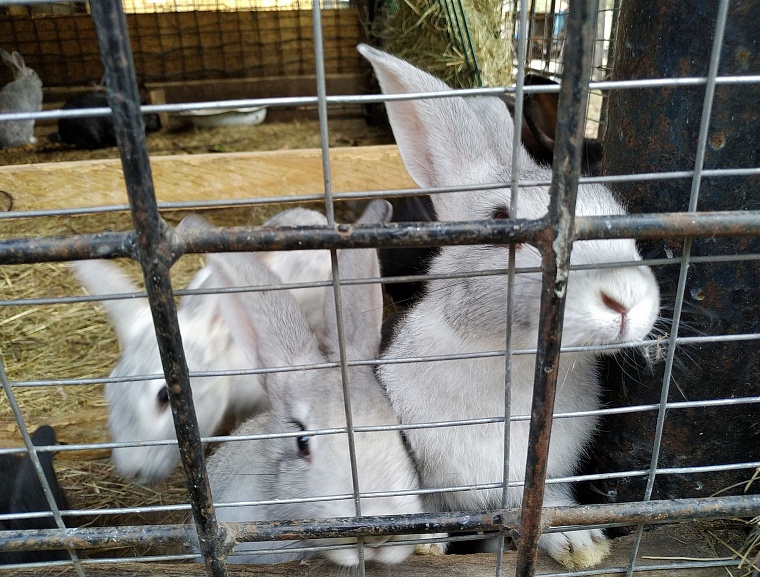 Отдых у воды: плюсы и минусы тюменских пляжей