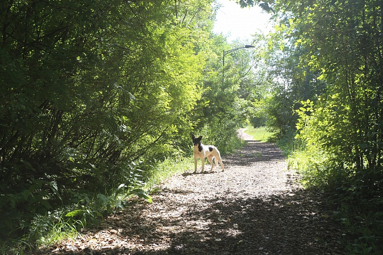 Затюменский: что ждет тюменцев в самом большом экопарке города