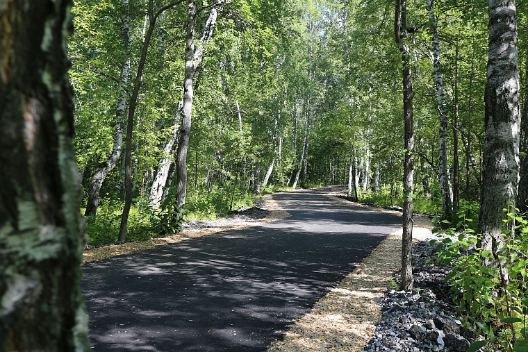 Затюменский: что ждет тюменцев в самом большом экопарке города