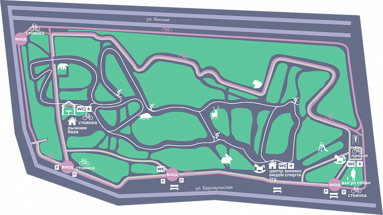 Затюменский: что ждет тюменцев в самом большом экопарке города