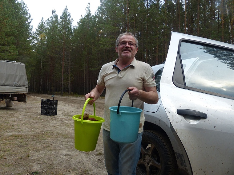 Испытано на себе: сколько можно заработать на сборе грибов