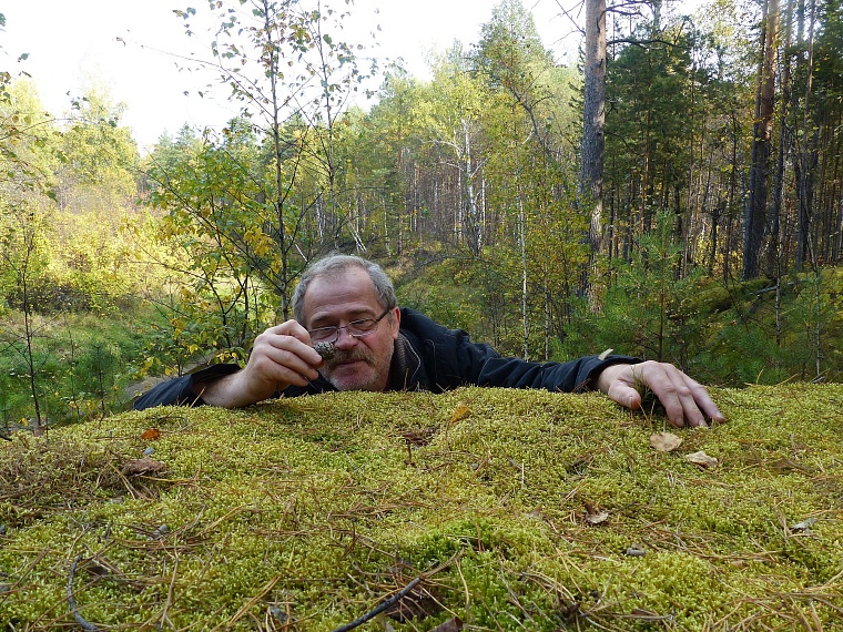 Испытано на себе: сколько можно заработать на сборе грибов