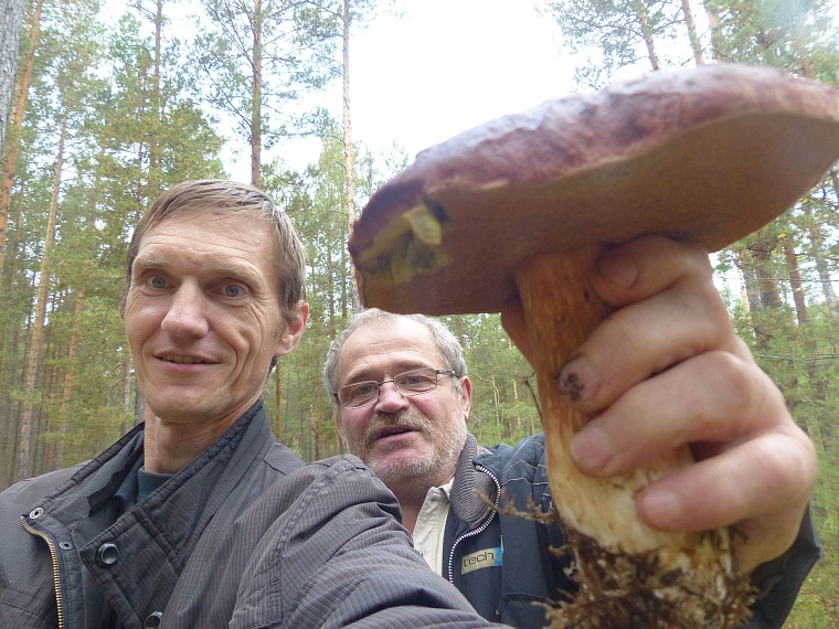 Испытано на себе: сколько можно заработать на сборе грибов