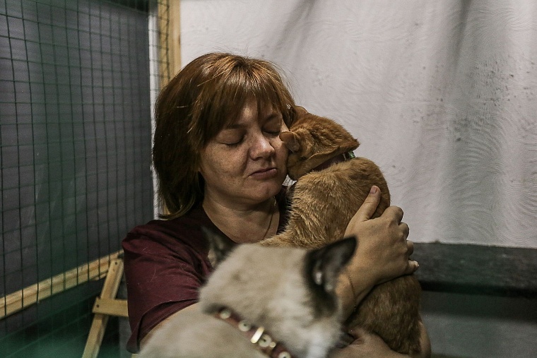 Кошачье дело: как в Тюмени заботятся о кошках, которые никому не нужны