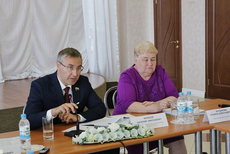 «Лучше один раз увидеть». Депутаты облдумы оценили, в чем нуждается Казанский район