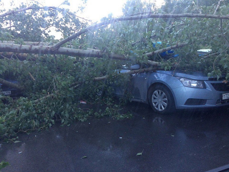 Последствия шторма в городе: упавшие деревья, разбитые авто и фонтаны в ТЦ