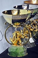 Сборная Тюменской области стала первой на Кубке главы СК России