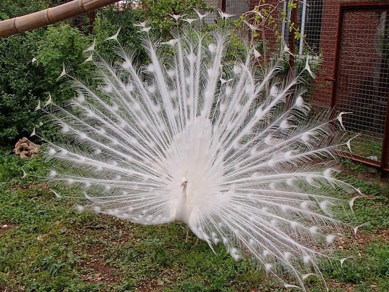 Тюменский исследователь Павел Ситников посетил паранормальные места Крыма