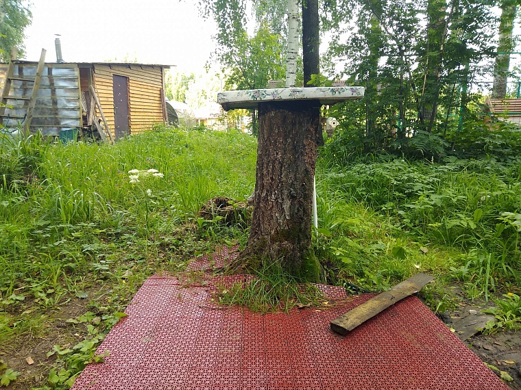 Идея на выходные: Оленьи ручьи
