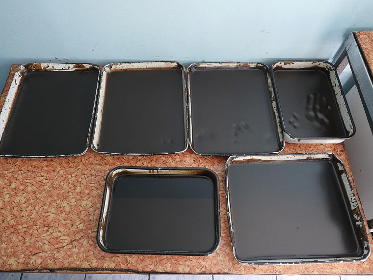 От каких болезней лечат в санаториях Алтая