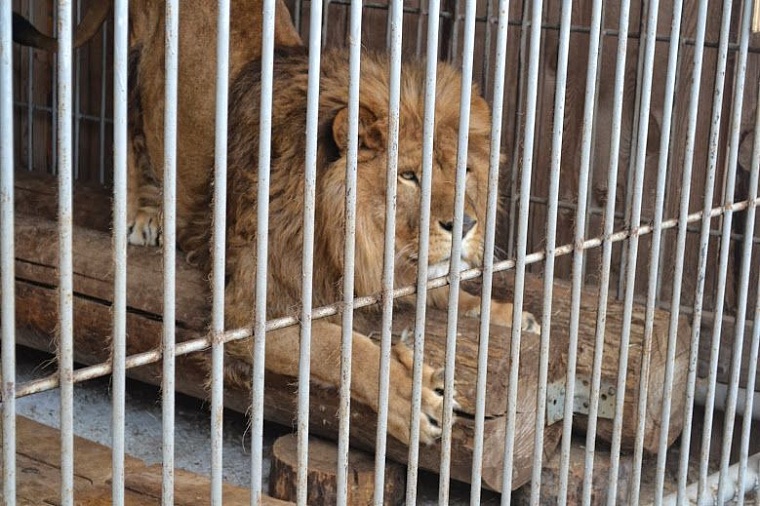 Вырваться на выходные. Обзор баз отдыха Тюмени и окрестностей