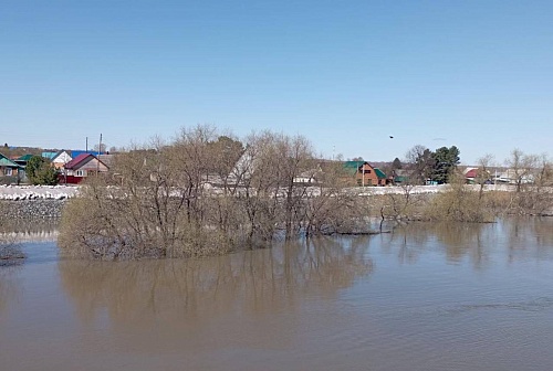 Уровень реки Ишим в районе села Викулово поднялся на 102 сантиметра